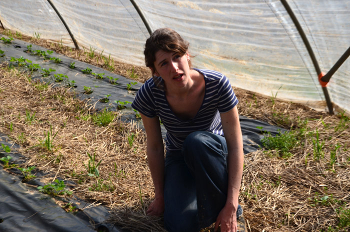 Amélie, agricultrice en herbe, se lance dans la culture des fraises.
